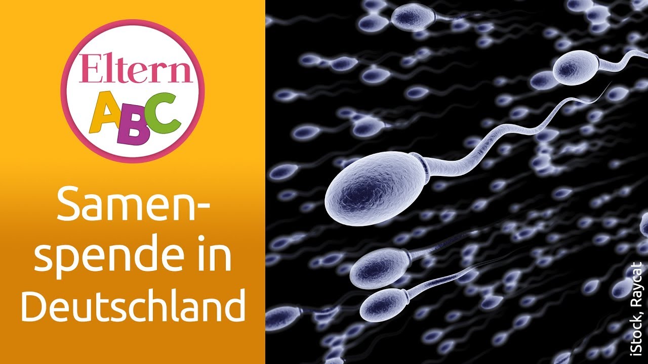 Samenspende in Deutschland: Was ist zu beachten? | Kinderwunsch | Eltern ABC | ELTERN