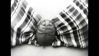 Universal News, Volume 10, Release 675, Stories 2-6, Local. June 13, 1938