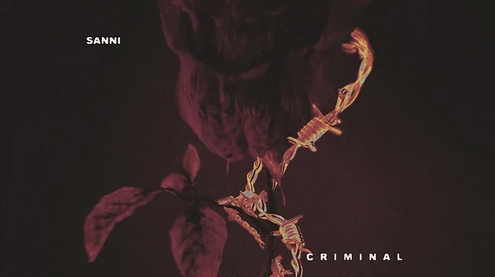 SANNI - CRIMINAL (Official Visualizer)