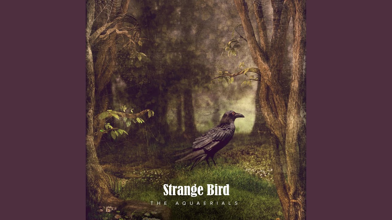 Birdy strange birds. Strange Birds перевод. The goddamn Gallows - the maker (2014).