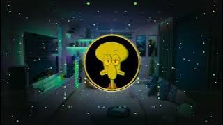 DJ _ BIWIR BEREUN _BEREUM JAWER HAYAM _ ( RUNTAH) FYP TIKTOK VIRAL TERBARU 2025 🔥