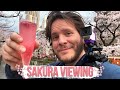 The Real Japanese Sakura Viewing Experience