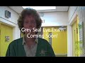 Mandrill Eye Exam