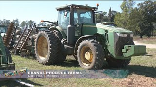From the farm to the table Lucedale farmer explains local farming techniques