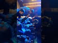 #video #funny #sadi#barat 🥺#funny desi#dance