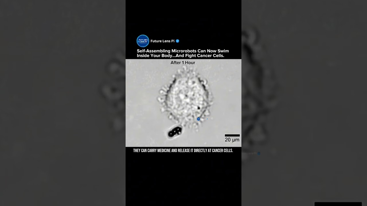 Magnetic Biohybrid Microrobots Revolutionizing Targeted Cancer Therapy! 