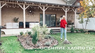 🏡 УДОБРЯЮ РАСТЕНИЯ 🌲 УБИРАЮ ЛИСТЬЯ 🍁 ЧТО С МОИМИ ХРИЗАНТЕМАМИ🌼