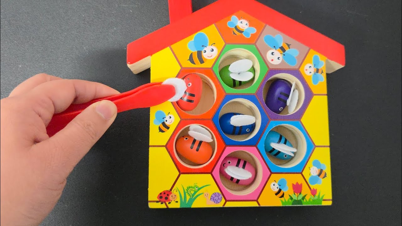 UNBOXING Honey Bee Color Sorting Toy ASMR 