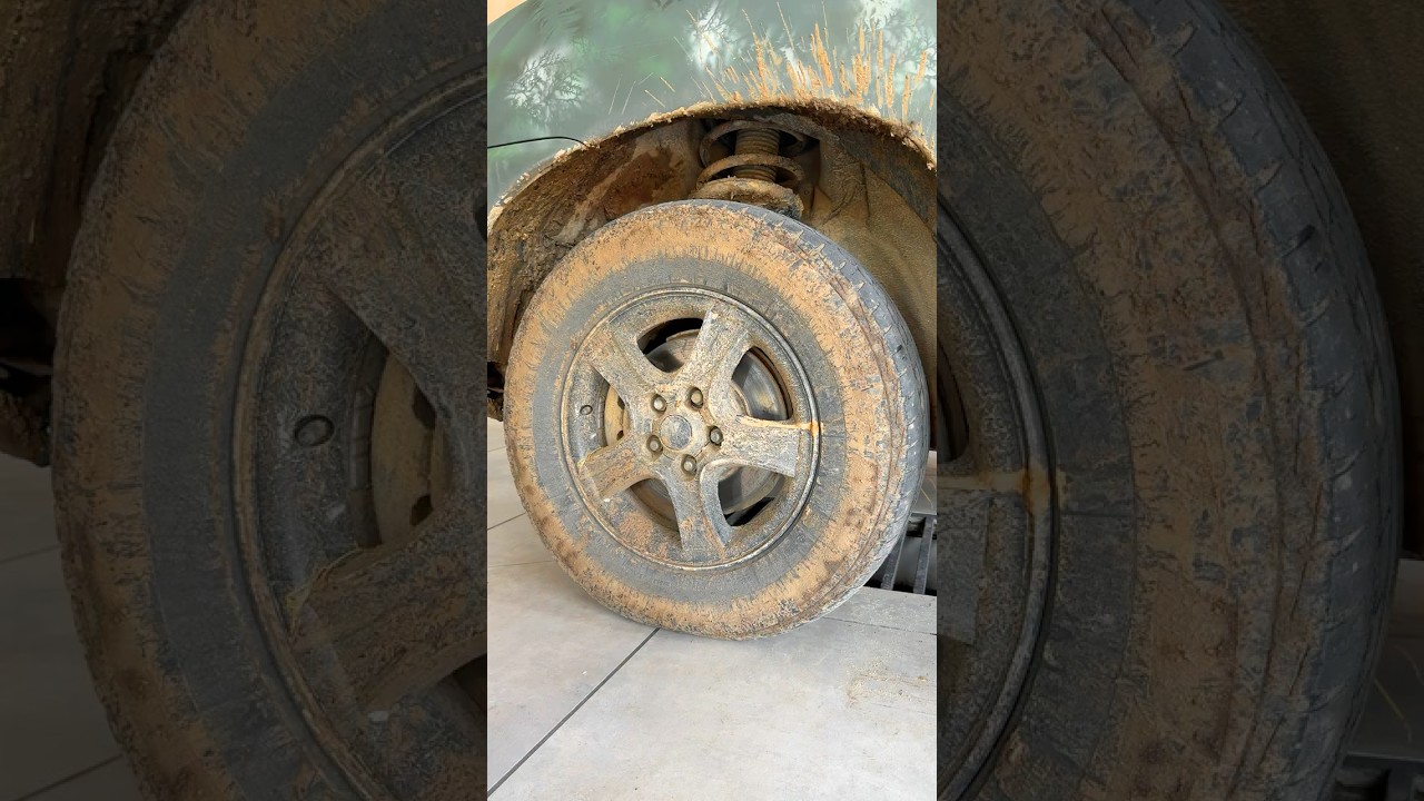 Most Satisfying Wheel Cleaning Ever!