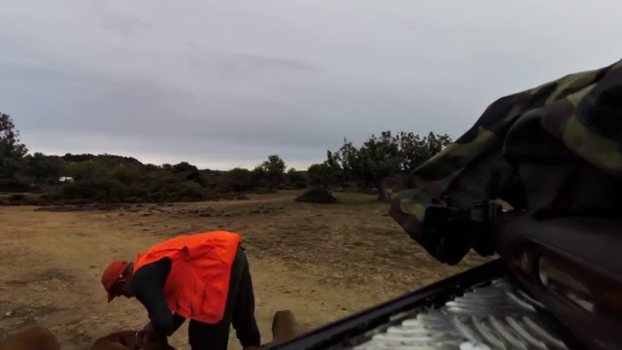 hunting in cyprus 2014 - YouTube