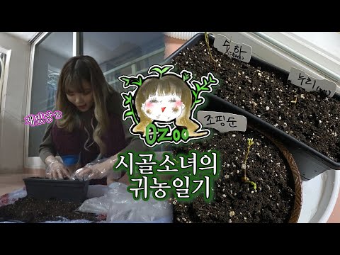 [<strong>영주의</strong> 귀농일기 : 코로나가 쏘아올린 작은 쓰잘떼기없는 짓 VLOG] 0zoo 영주