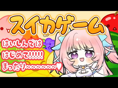 【#新人Vtuber 】ゲリラ～！まったりスイカでもつくるかあ～！✧･ﾟ【#真白まゆ 】