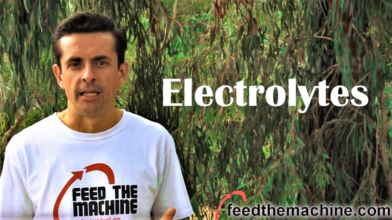 feed the machine nutrition Electrolytes - Key to proper hydration and muscle contractions