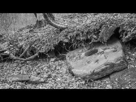 Странный камень в глухом лесу - YouTube