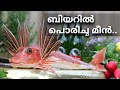 ബിയറിൽ പൊരിച്ച മീൻ. Fish and chips,how to cook beer battered fish in malayalam |best fish| Naveenjob