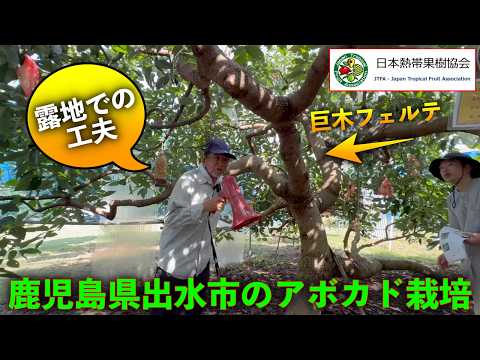 日本熱帯果樹協会 - YouTube