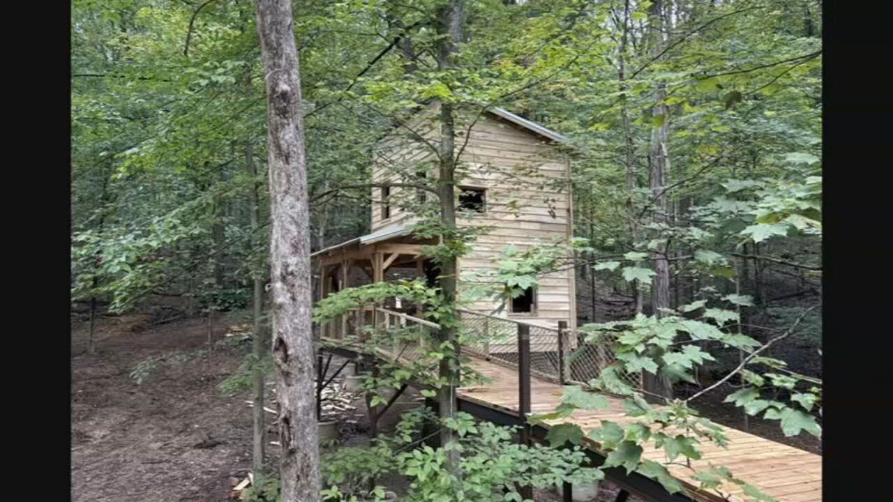 Bernheim Forest is unveiling a wheelchair accessible treehouse.
