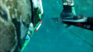 spearfishing japan 2011 News