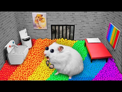 🌈Colorful POP IT Prison | DIY Hamster Maze