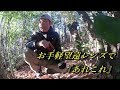 AF-P DX 70-300mm ED VR 手軽に遊べる優秀なレンズ