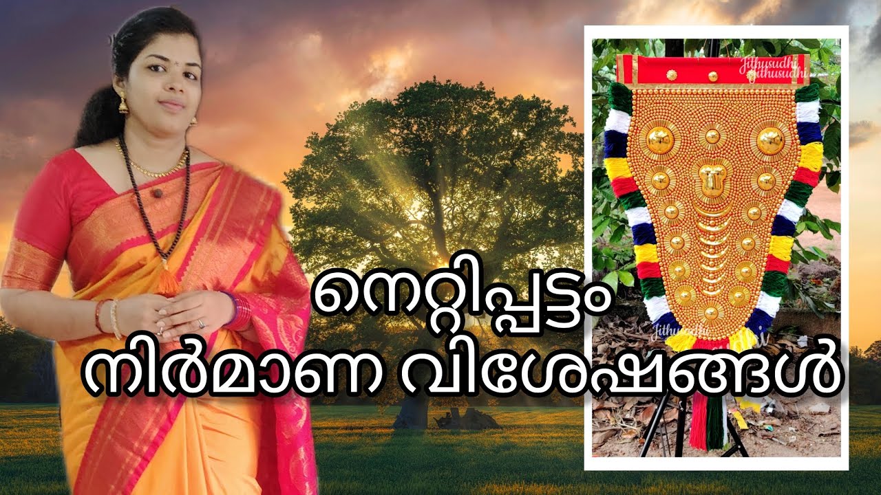 ഒരു നെറ്റിപ്പട്ടം വ്ലോഗ് 😂