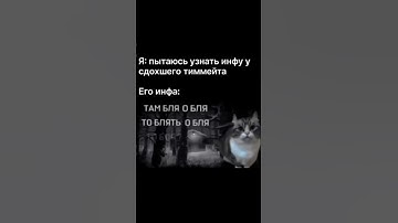 Инфа тиммейта #мем #мемы #мемы_тикток #рек #реки #рекомендации #shorts #жиза #meme #memes #мемас