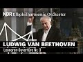 Beethoven: Leonoren-Ouvertüre III mit Günter Wand  (1990) | NDR Elbphilharmonie Orchester