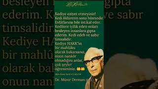 #allah #merhamet edenleri sever #kedisevgisi#vicdan#dunyaalemtv