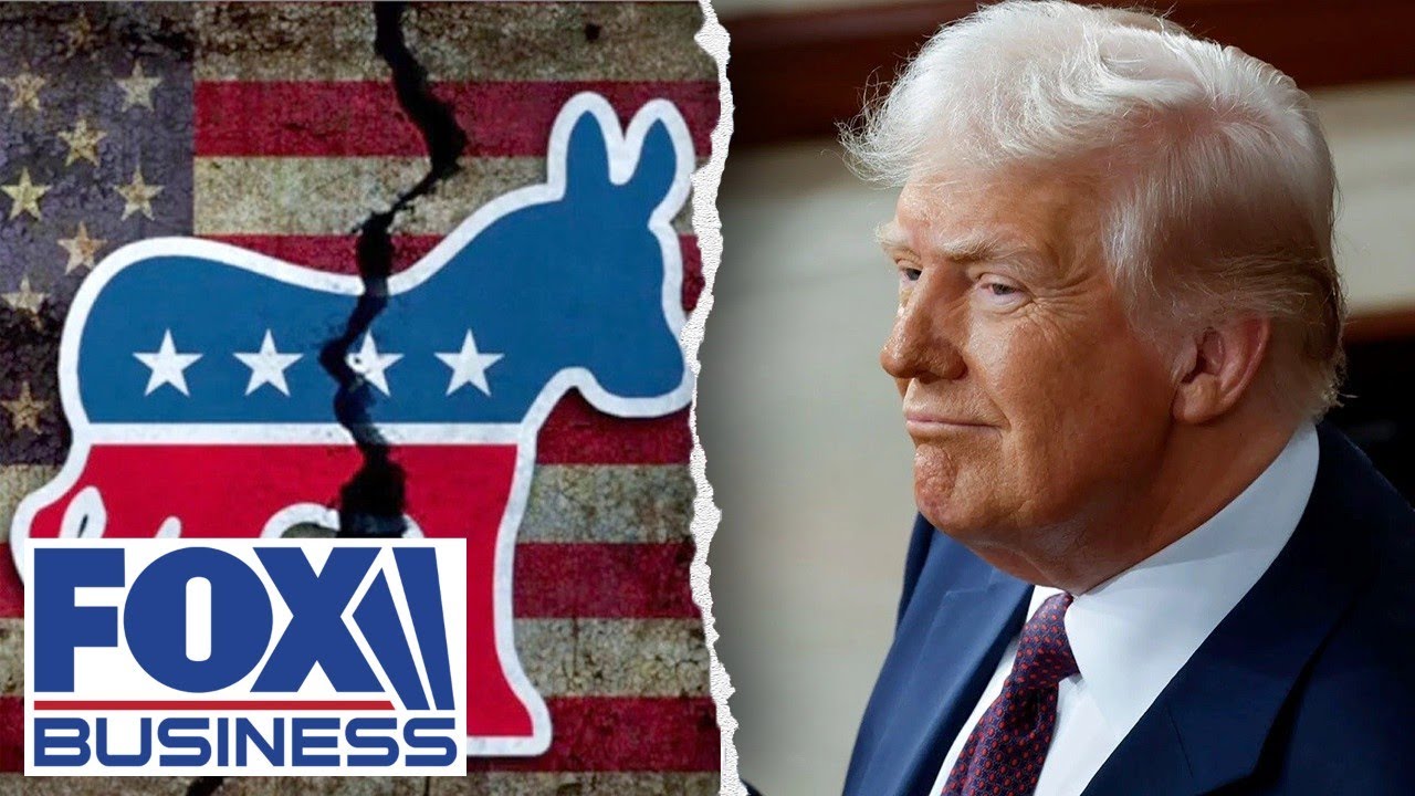 'Trump Derangement Syndrome' is Democrats' entire platform: GOP lawmaker