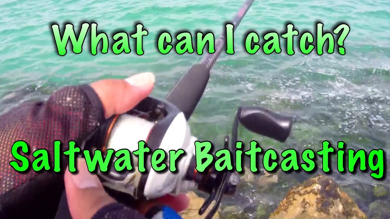 Saltwater Baitcasting, Shorefishing, Rockfishing