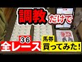 【検証】調教だけで馬券は当たるのか?!全レース買ってみた