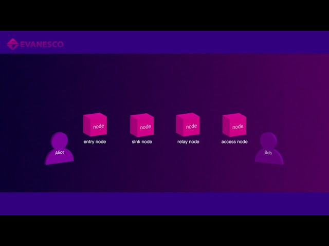 Demo Introduction of EVA Layer0 Network
