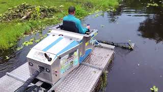 Cattails out of lake with Truxor