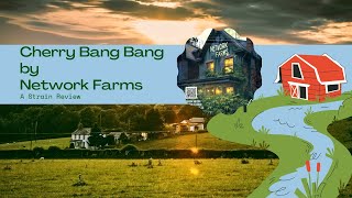 Cherry Bang Bang Strain Review: Local Craft Meets Exotic Genetix