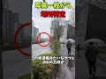 なんか写真が送られてきた