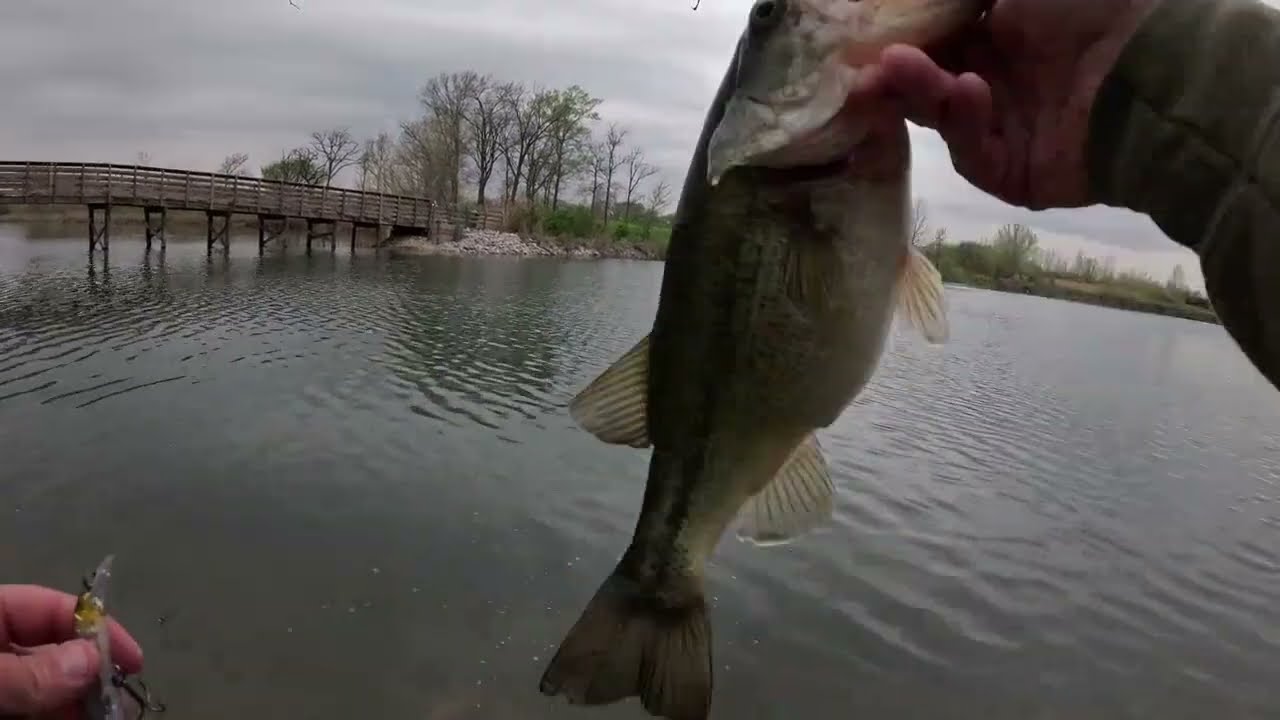 Lake Chaminwood Preserve Bass Fishing, April 18th 2024