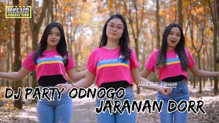Download Lagu DJ TERBARU VIRAL ODNOGO STYLE PARTY X JARANAN DOR MP3 Download Lagu DJ TERBARU VIRAL ODNOGO STYLE PARTY X JARANAN DOR MP3