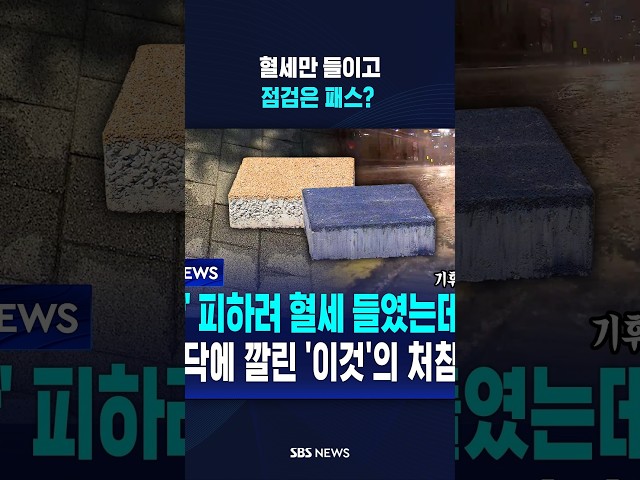 혈세만 들이고 점검은 패스? #shorts