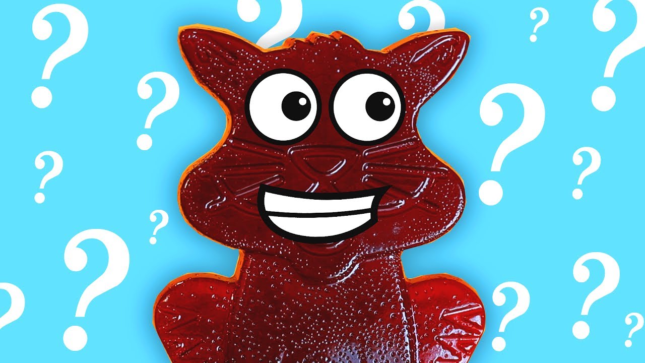 кот желе. желейный кот. желейные котики десерт. желейный кот. желейные котята.