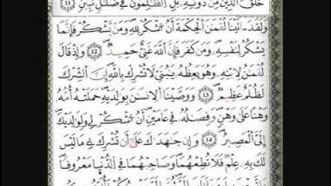 الشـــيخ موسى بلال قراءة حجازية لسورة لقمان - Mosa Bilal