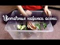 Опять новинки комнатных растений | На этот раз цветущие и не только