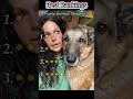Funny German Shepherd #interesting #funny #fyp #foryou #dog #pets #cute #comedy #prank #top5