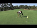 The Amazing Quarter Drill for Putting | Golf Tips