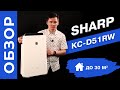 Sharp KC D51RW. Климатический комплекс Шарп. Воздухоочиститель с функцией увлажнения. Обзор.