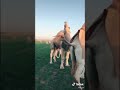 فحل عرنون مقوس حلوااا