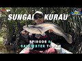 SUNGAI KURAU: ADA TOMAN HIDUP DI AIR MASIN? [EXP SPOTCHECK EP 8]