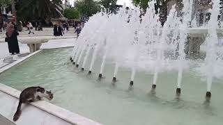 Eyüp Sultan Camii’nde Aziz Mahmut Hardal Hocamızdan İkindi Ezanı | Mâneviyat Dolu Anlar