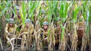 (Anti-Japanese Movie) Japanese are hiding in cornfields to ambush, but Eighth Route have a trick