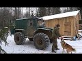 ВОЛКИ ПРИШЛИ К ТАЁЖНОЙ ИЗБЕ! «АЛТАЙ» УБЕЖАЛ В ЛЕС! ПОДГОТОВИЛСЯ К ЗИМЕ!