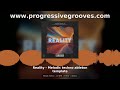 Reality Melodic Techno Ableton Live Template